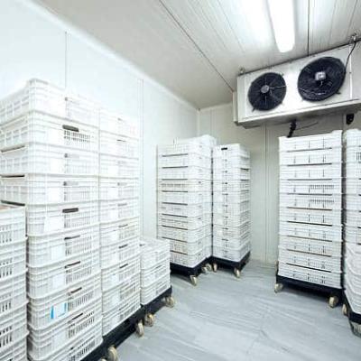 Kho Lạnh và Hệ Thống Kho Lạnh